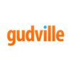 Gudville -  e-commerce social commerce charity non profit