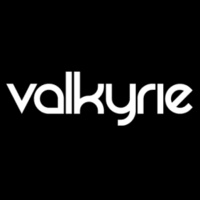 Valkyrie Trading logo