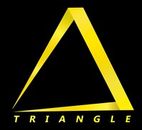 Triangle VR logo