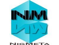 NigMeTa Infotech logo