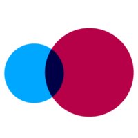 PLEISMENT logo