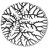 Loonskin Labs logo