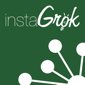 instaGrok logo