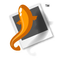 Koi logo