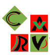 Carv Info Solutions logo