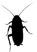 Backyard Brains logo