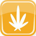 iGrowBud logo