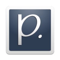 Pin Citi logo