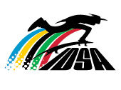 Distance Skateboard Association logo