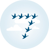 7Geese logo