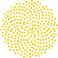 Momentum Machines logo