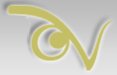 MegaScopes logo