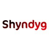 Shyndyg logo
