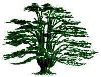 Cedar Ridge Ventures logo