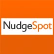 NudgeSpot logo