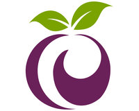 Plum Analytics logo
