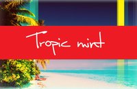 TropicMint logo