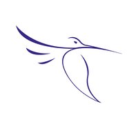 Colibri Official logo