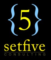 Setfive Consulting logo
